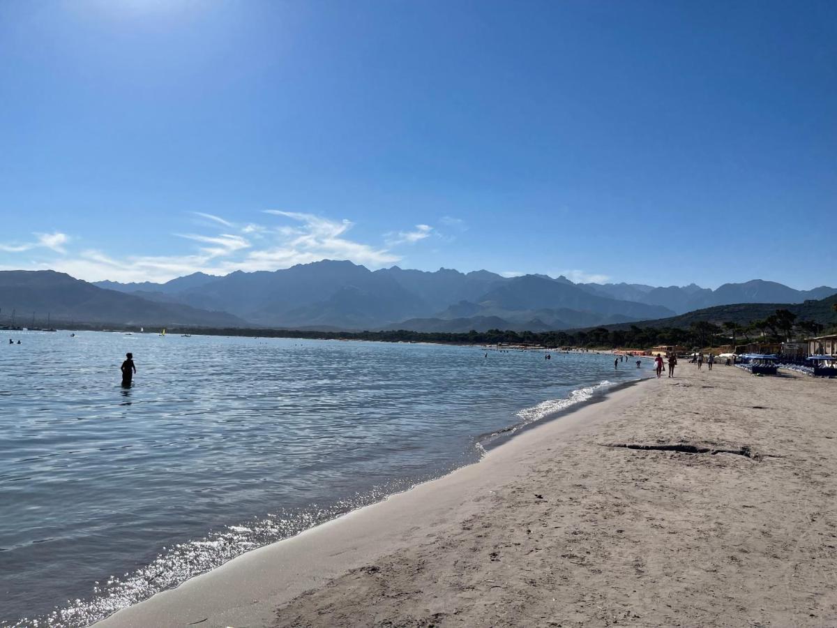 Calvi T2 Climatise, Wifi, Centre-Ville, A Proximite Plage, Commerces, Taxi & Gare, Vue Plage & Montagne Ngoại thất bức ảnh